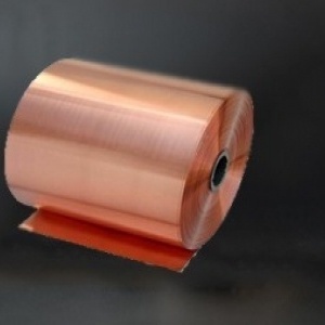 Alternative view of Fusce gravida elementum auctor